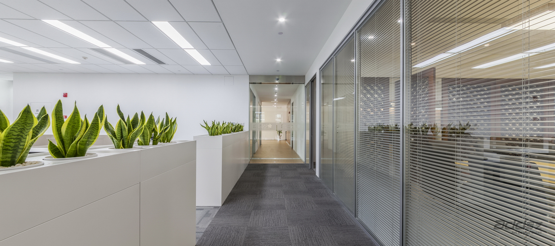 五極紡織科技辦公室裝修-辦公區走廊-pc